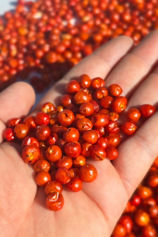Chile Chiltepin Premium De Sonora
